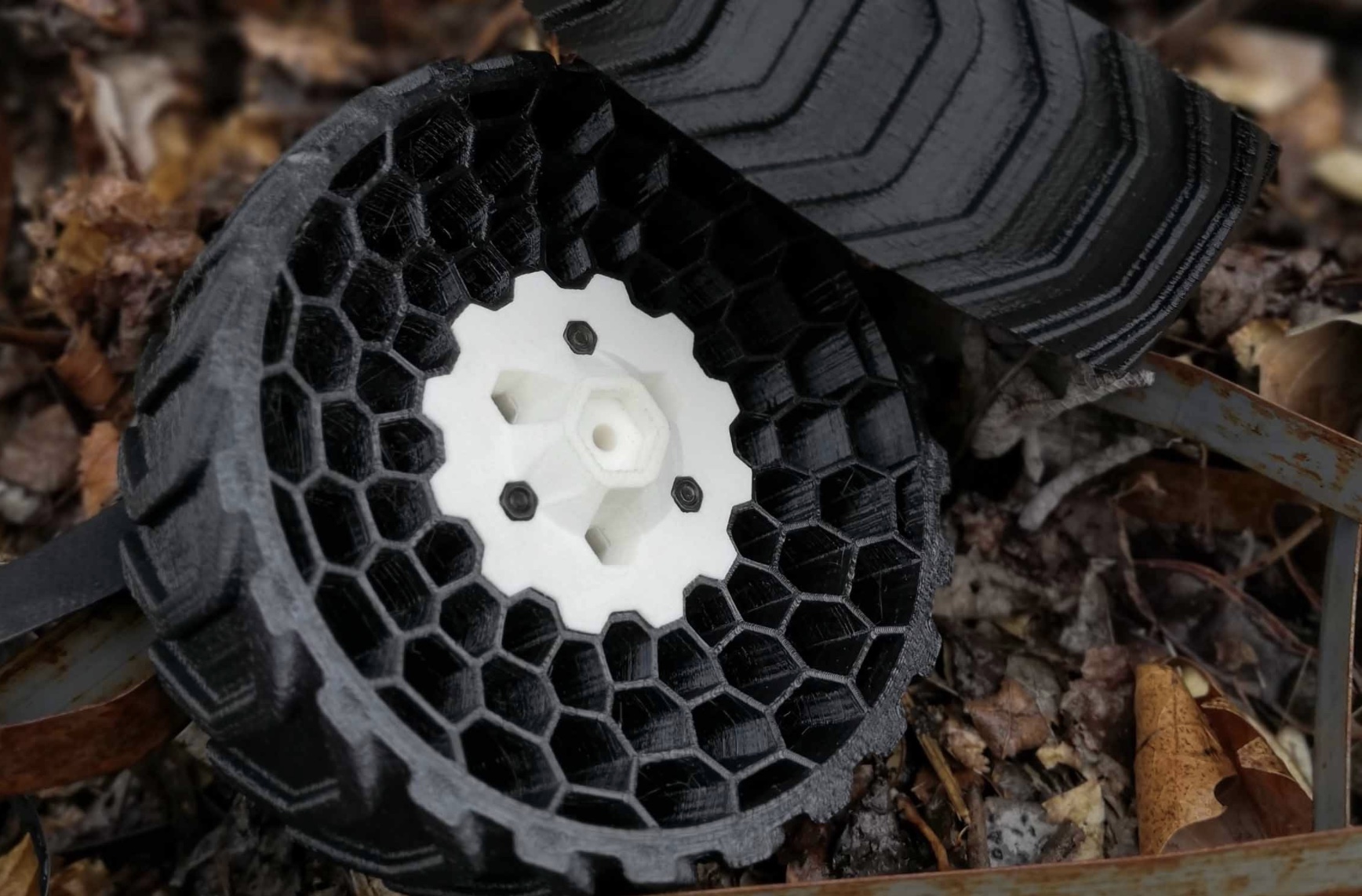 tpu